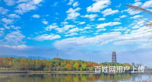 智能语音机器人系统哪家好 - 图片