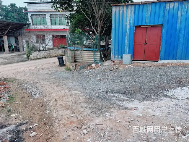 （老板本人）雨花区洞株路口新建厂房/仓库出租  5703 - 图片 6