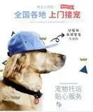 常州便民宠物托运 全国各地宠物托运服务安全放心 - 图片 1
