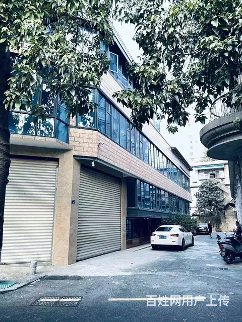 金尚 大面积店面招租没有费 停车方便 欢迎来电咨询 - 图片 6