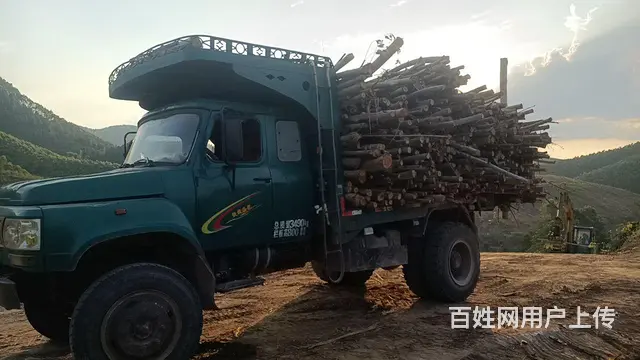 【搞定了！】其他 自卸车 - 图片 2