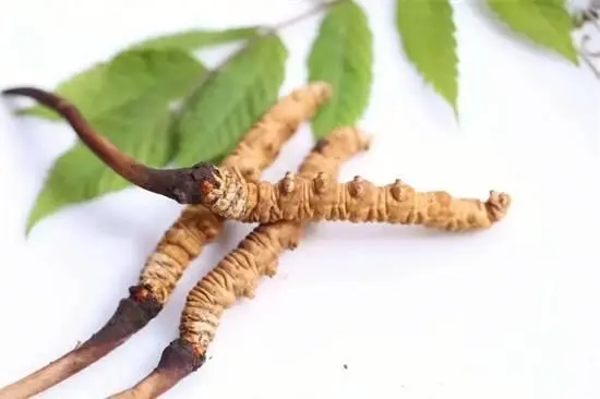 开封回收每一年的茅台酒价格表格 - 图片 7