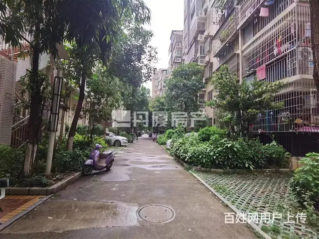龙池生活区 长隆花园 精装2房通透 配套齐全 拎包住 - 图片 11
