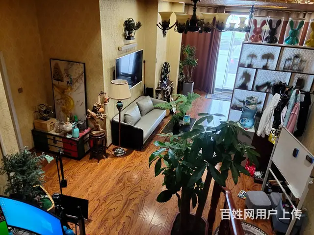 （玖玖）高新区万杰路沿街商铺直播，工作室转让-出租 - 图片 6