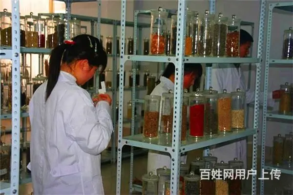 泰安卫校2024招生简章 - 图片 4