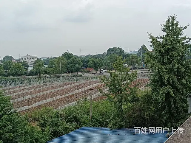 【搞定了！】场地出租，2400多㎡，价格优美随时入住 - 图片 8