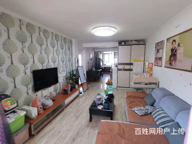远洋城二期85平步梯2楼 南北通透 送30平大露台 - 图片 6