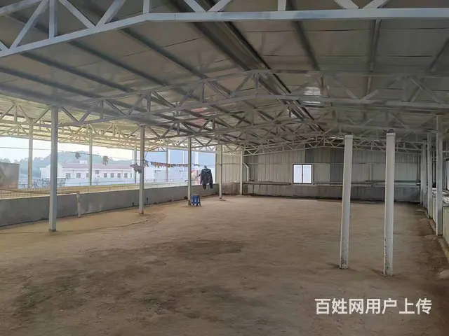 （老板本人）长沙县黄兴冷链物流园旁办公楼仓库房东直租6240 - 图片 4