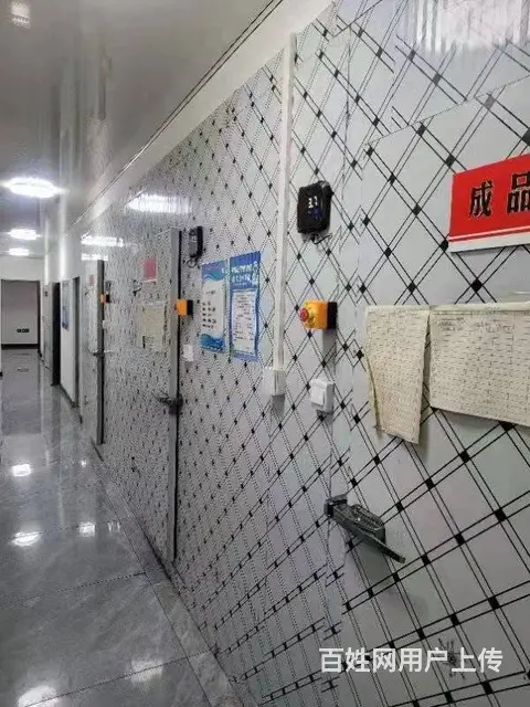 原市内食品加工厂出租，办公楼出租（独院）厂房出租，和平砂阳路 - 图片 8