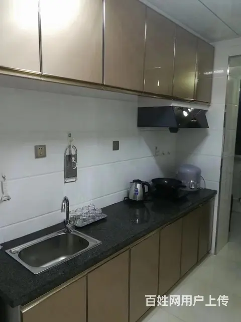 东山区政府附近沿河南E组团住宅出租 - 图片 6