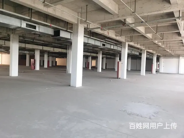 个人出租城南厂房10000平可自由分割0.2毛一天 - 图片 3