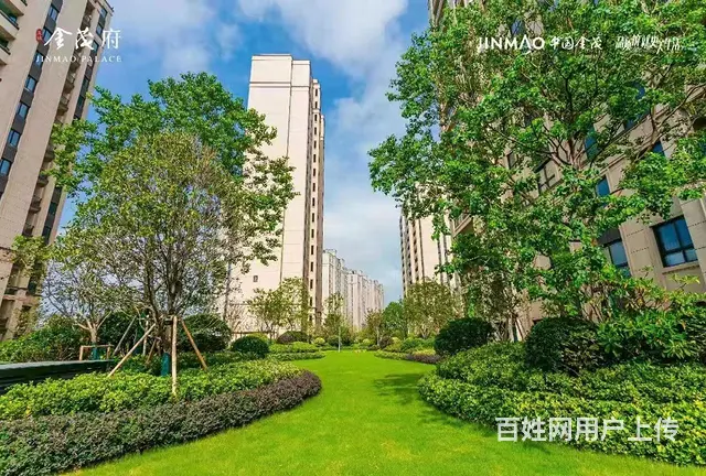 区政府旁，金茂府一拖二，社区底商急售，户型方正，先到先得 - 图片 5