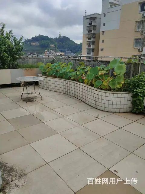 和平小区 电梯高楼 精装修 送大天台 - 图片 9