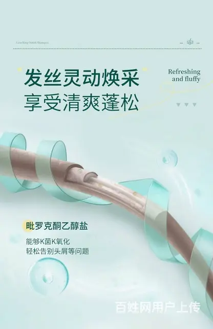 狮王欧希帝去屑洗发水批发代理一件代发 - 图片 6