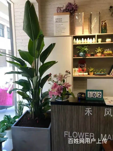 转让羊山新区凤凰牡丹园金街商业街店铺 - 图片 6