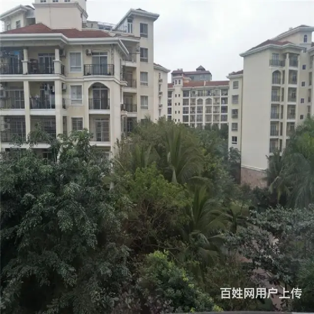 龙湖光年 商圈        四季华庭2房 - 图片 9