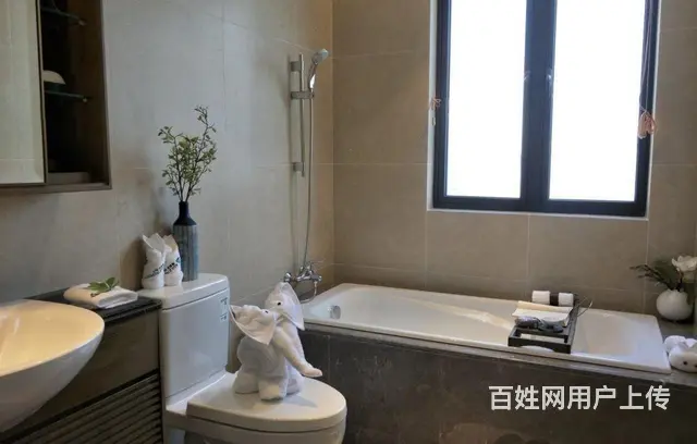 有山有水茅山景区中雅居乐山湖城高德庄园恒大御湖旁 - 图片 9