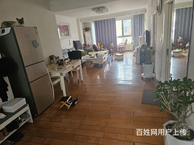 个人房首次出租 - 图片 1