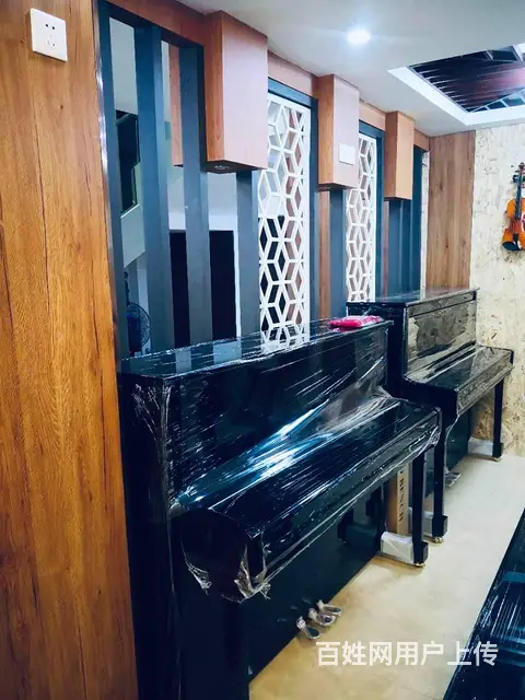 九江艺术教育音乐艺考就到中韵琴行 - 图片 2
