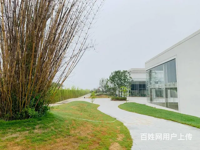 园区配套可超市面积可分割，初创园区6米层高8米柱距，园区直租 - 图片 5
