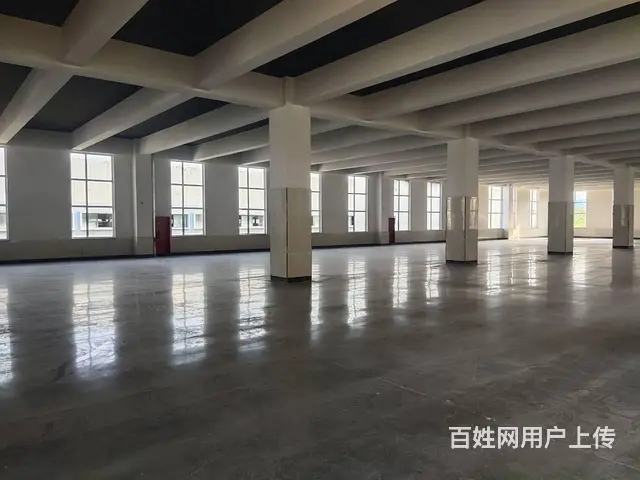 【创美】高区和兴路新建76000平厂房出租，可分层租 - 图片 5