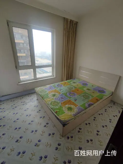 地铁房丽十二公馆 普通住宅2室  1300精装修 - 图片 5