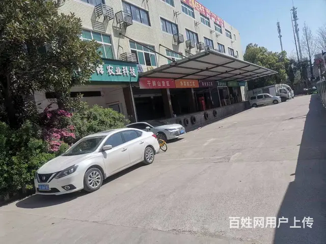 七雄路国道边200-4000平厂房仓库出租 - 图片 2