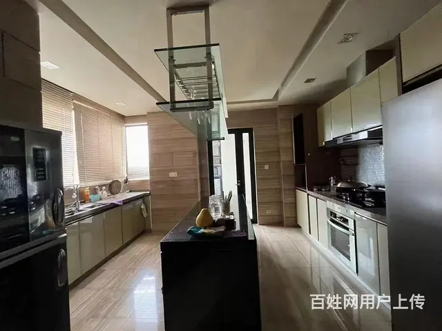 绿洋山庄顶级豪宅，全海景，业主急用钱，低价处理 - 图片 4
