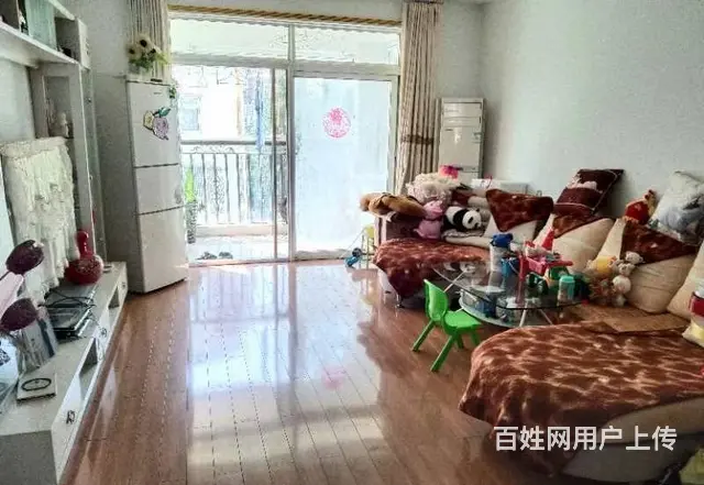 雷锋路小学上城国际 皖西中学  普通住宅2厅 豪华装修 - 图片 4
