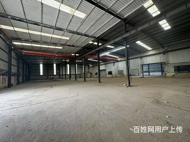 （徐州找店网）泉山区时代大道独院厂房出租 - 图片 8