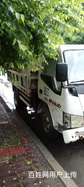 金杯小翻斗  单车 - 图片 1