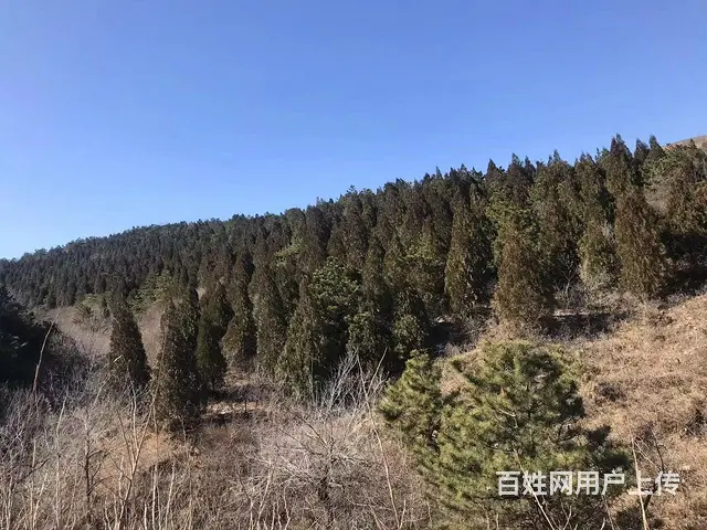 山林出售出租 - 图片 7