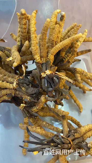 湛江霞山  湛江哪里有名酒回收  高价回收各种名酒  24小 - 图片 2