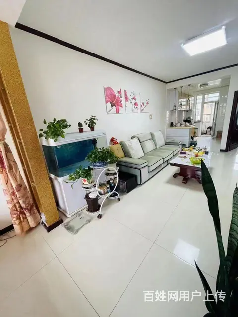 欧洲新城6楼，非顶楼，65平方 - 图片 3