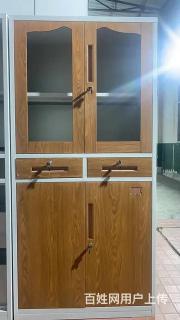文件柜铁皮柜员工资料柜会计矮柜落地柜厦门送货 - 图片 3