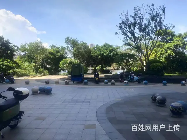 （51旺铺推荐）龙华区恒大外滩25平铺面直租 - 图片 8
