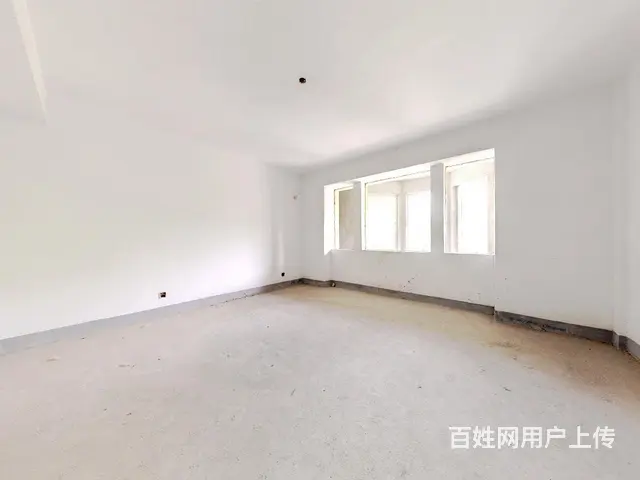 金鸡湖壹号三联排中间户 毛坯做好土建 南北双花园 - 图片 5