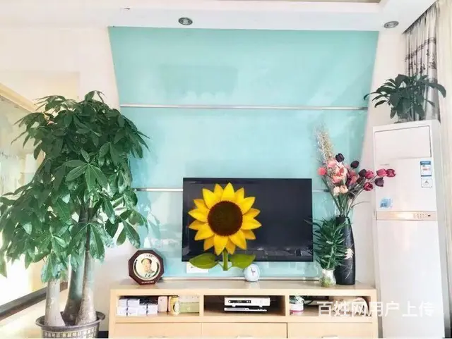 白天鹅花园三期 个性细腻，辗压争议，经得起你的挑剔 - 图片 2