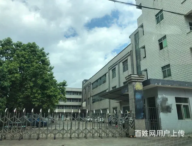 国有红本小独院厂房出售，台湾人年纪大退休回台 - 图片 3