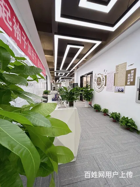 跨境电商亚马逊湖北无忧跨境 - 图片 3