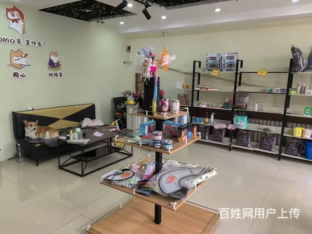 国奥现代城宠物店出兑可空兑适合各类生意： - 图片 2