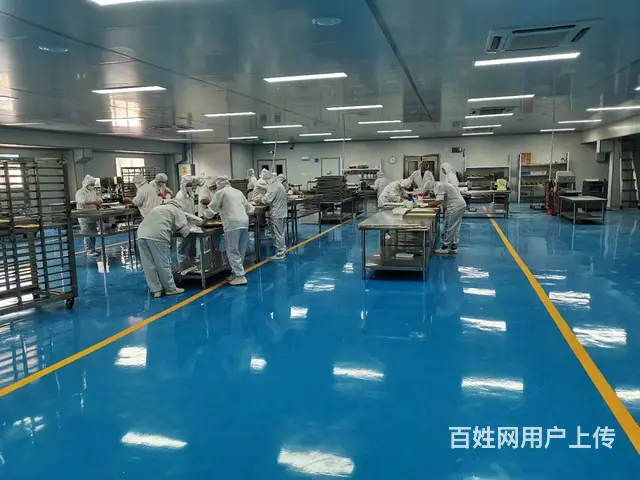 肥城宁阳工厂环氧自流平施工公司 - 图片 5