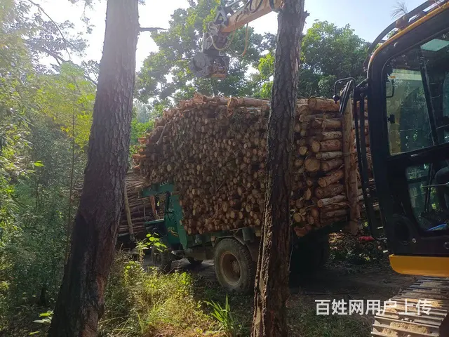 23年的山王便宜转让 - 图片 4