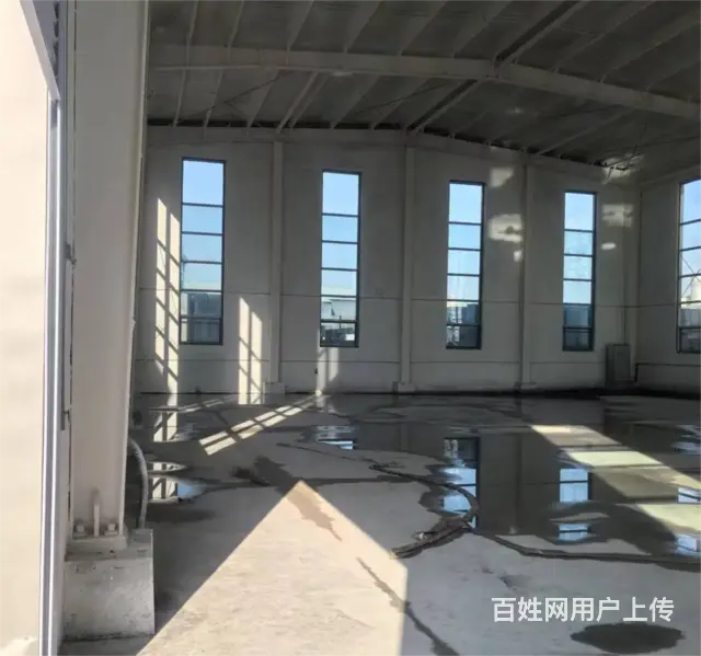（诚速）租洪河路标准厂房 可办环评绿化整洁交通便利停车方便 - 图片 5