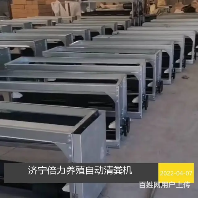 蛋鸡传送带清粪机专业改造 - 图片