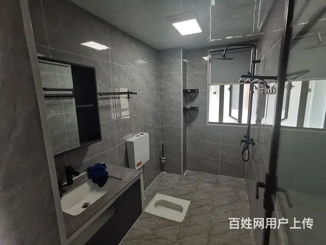 国欣向荣府 公寓2厅 豪华装修 - 图片 3