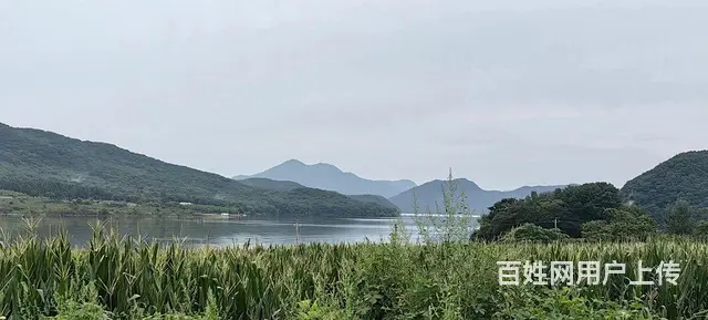 丰满旺起山庄水库出租出售，丰满坝上土地出售 - 图片 7