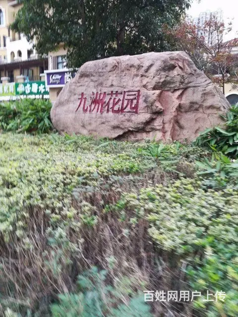 九洲花园一期豪装，3房1卫 楼层好 采光通透，户型 - 图片 6