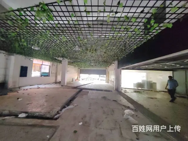 (老板本人)雨花亭商圈中心医院北门临街商铺办公楼出租可分租 - 图片 3