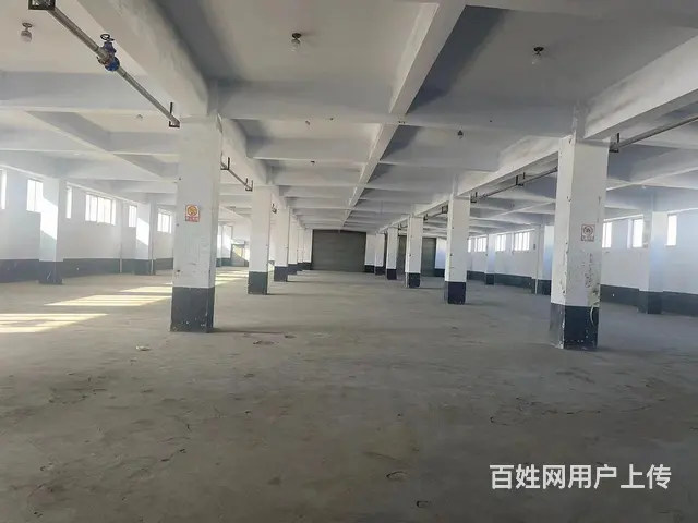 (58）华星仓储物流 多个1000平 物流中转仓库出租 - 图片 5